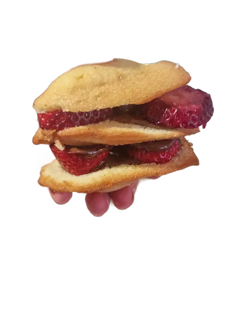 Madeleines artisanales