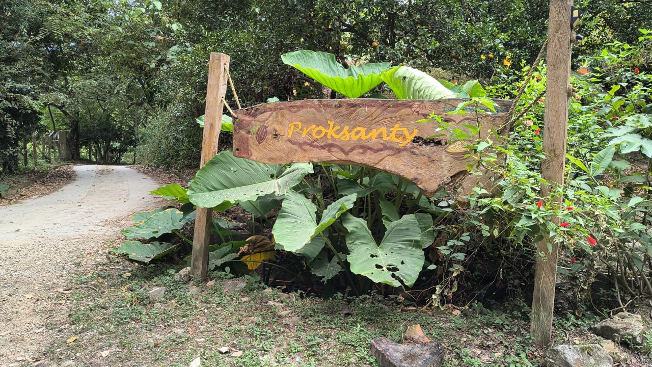 El letrero de madera de "Proksanty" a la entrada de la finca, sobre el camino destapado rodeado de vegetación.