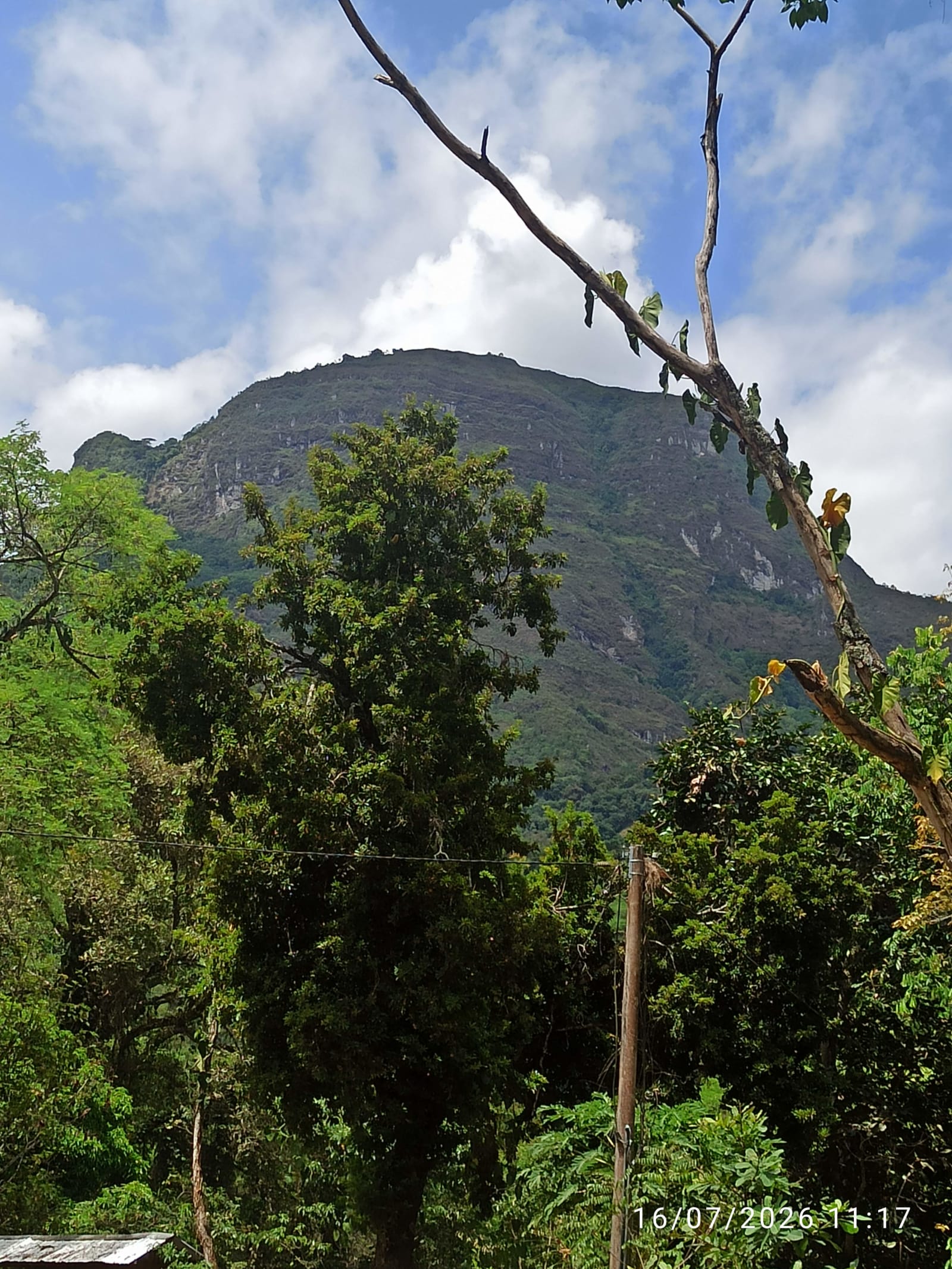 Una montaña boscosa se levanta junto a la carretera, vista desde el camino de regreso.
