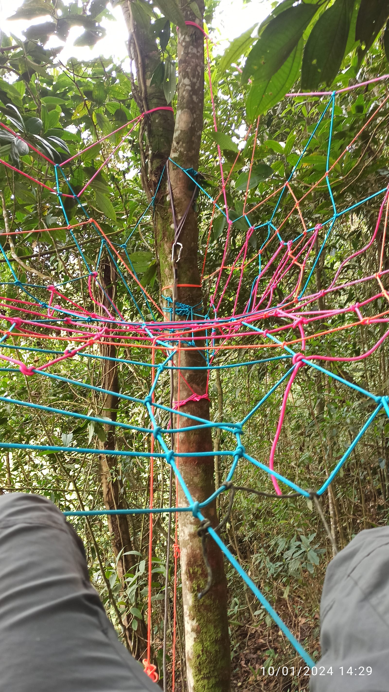 Pausa para contemplar el paisaje desde la red