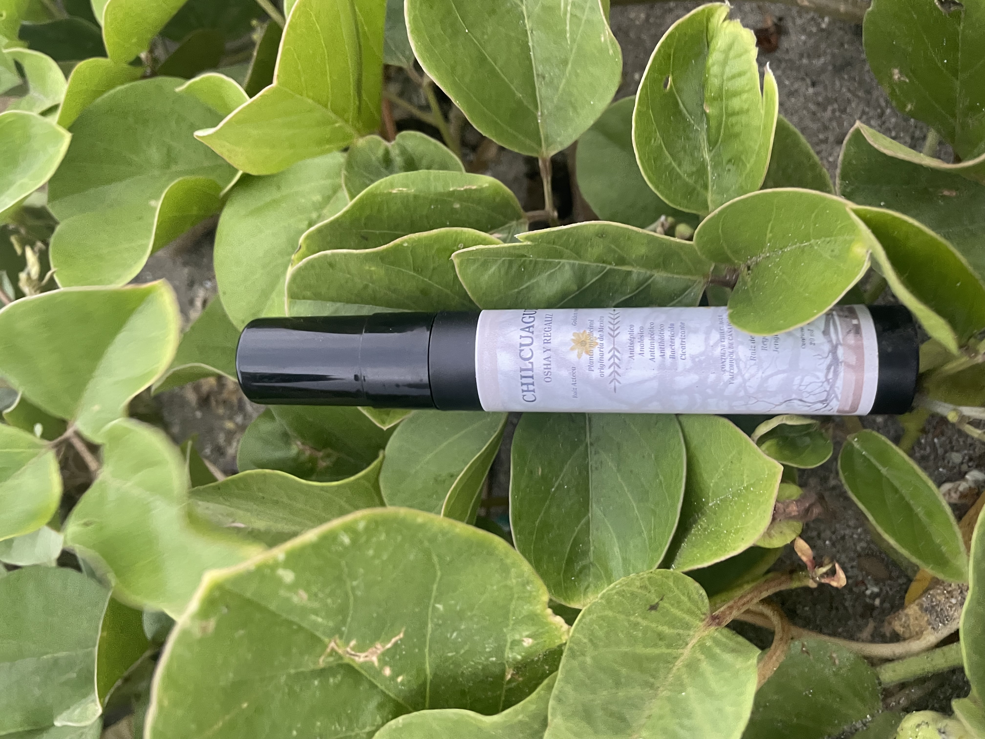 Chilcuague osha y regaliz 20 ml