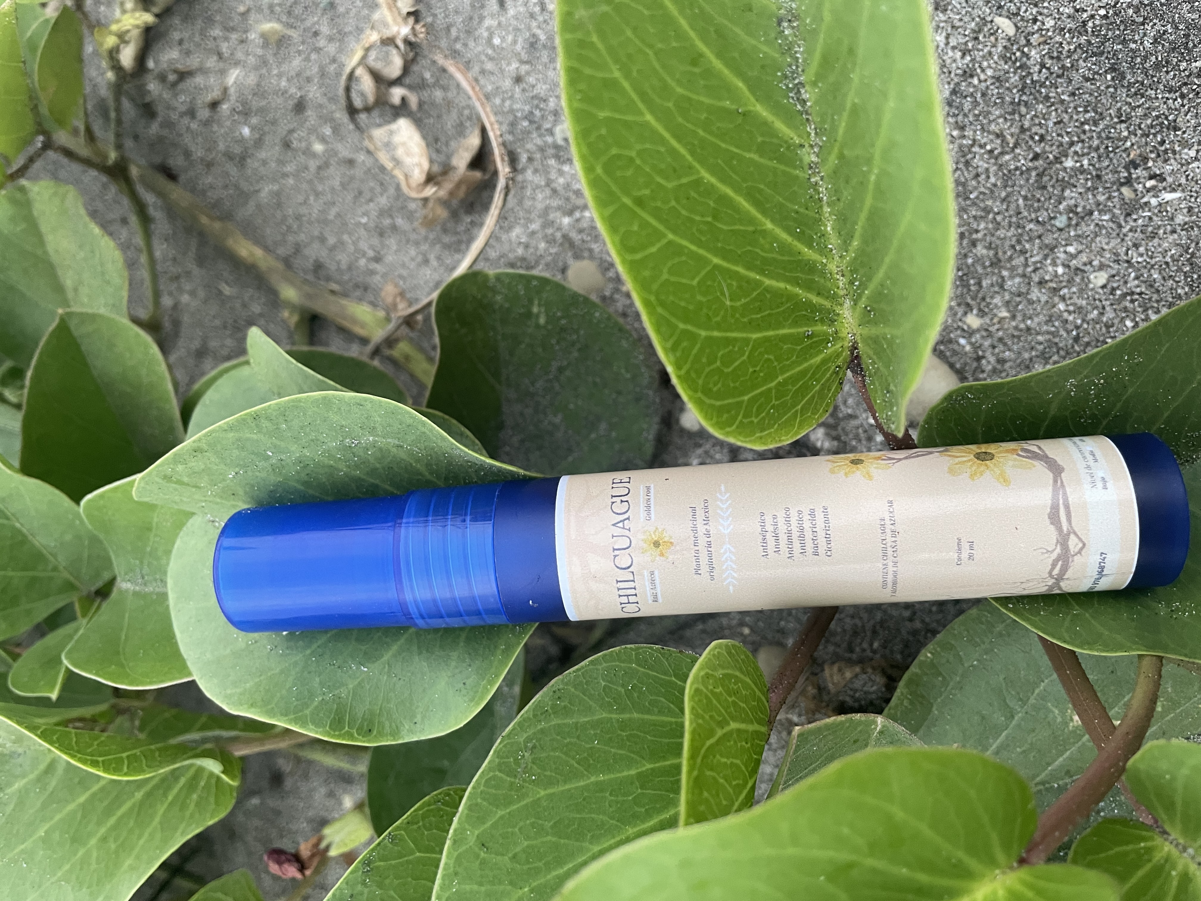 Chilcuague Concentrado 20 ml - imagen 2