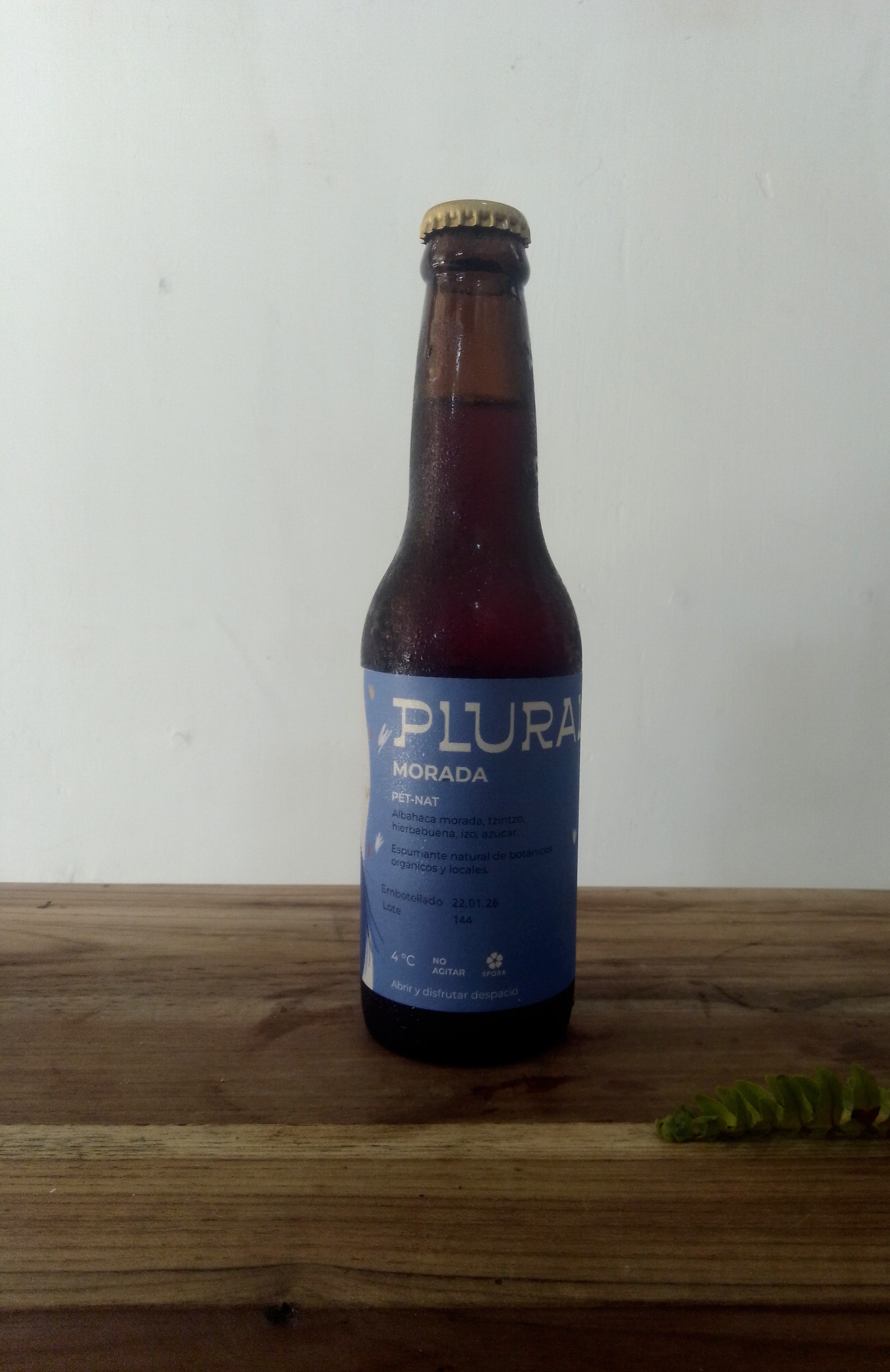 Kombucha Plural pequeña