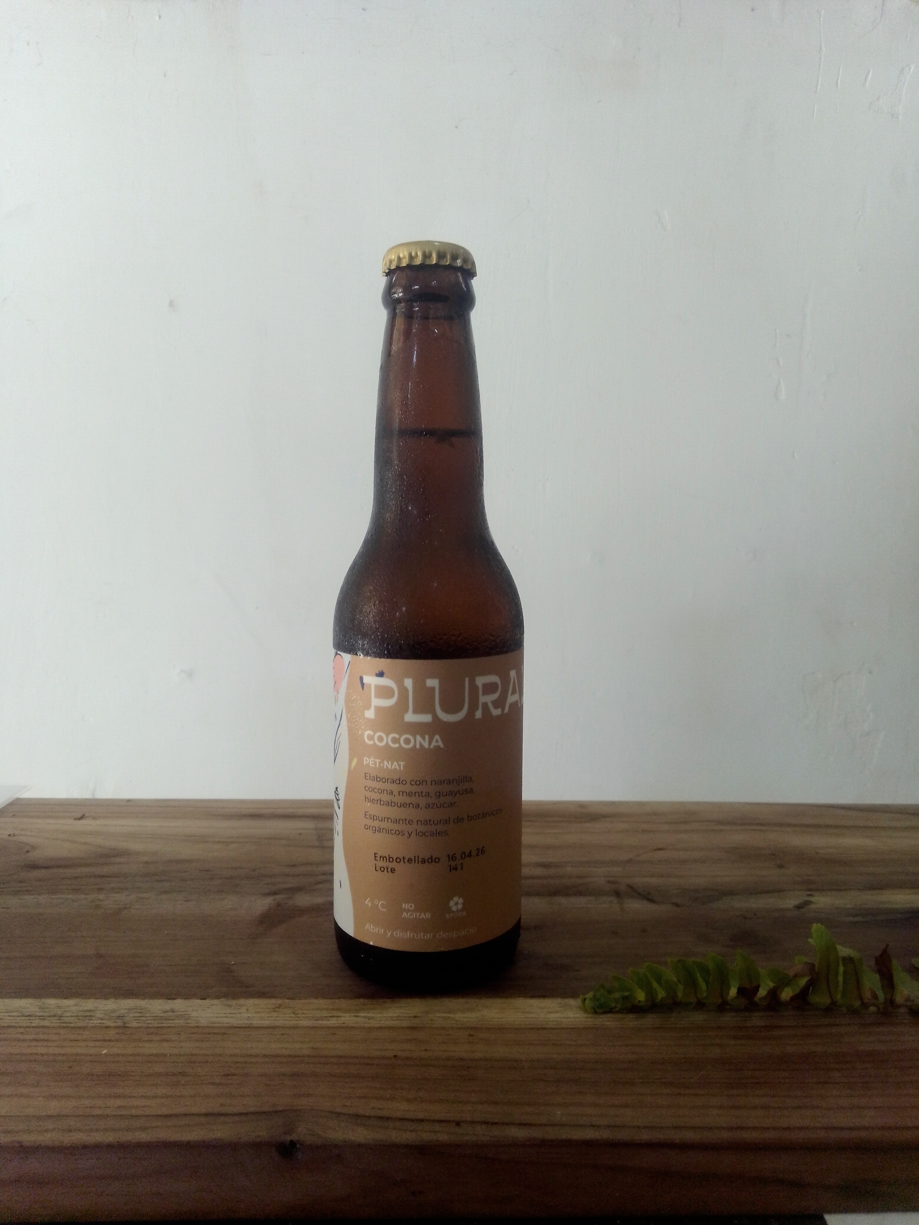 Kombucha Plural pequeña - image 2