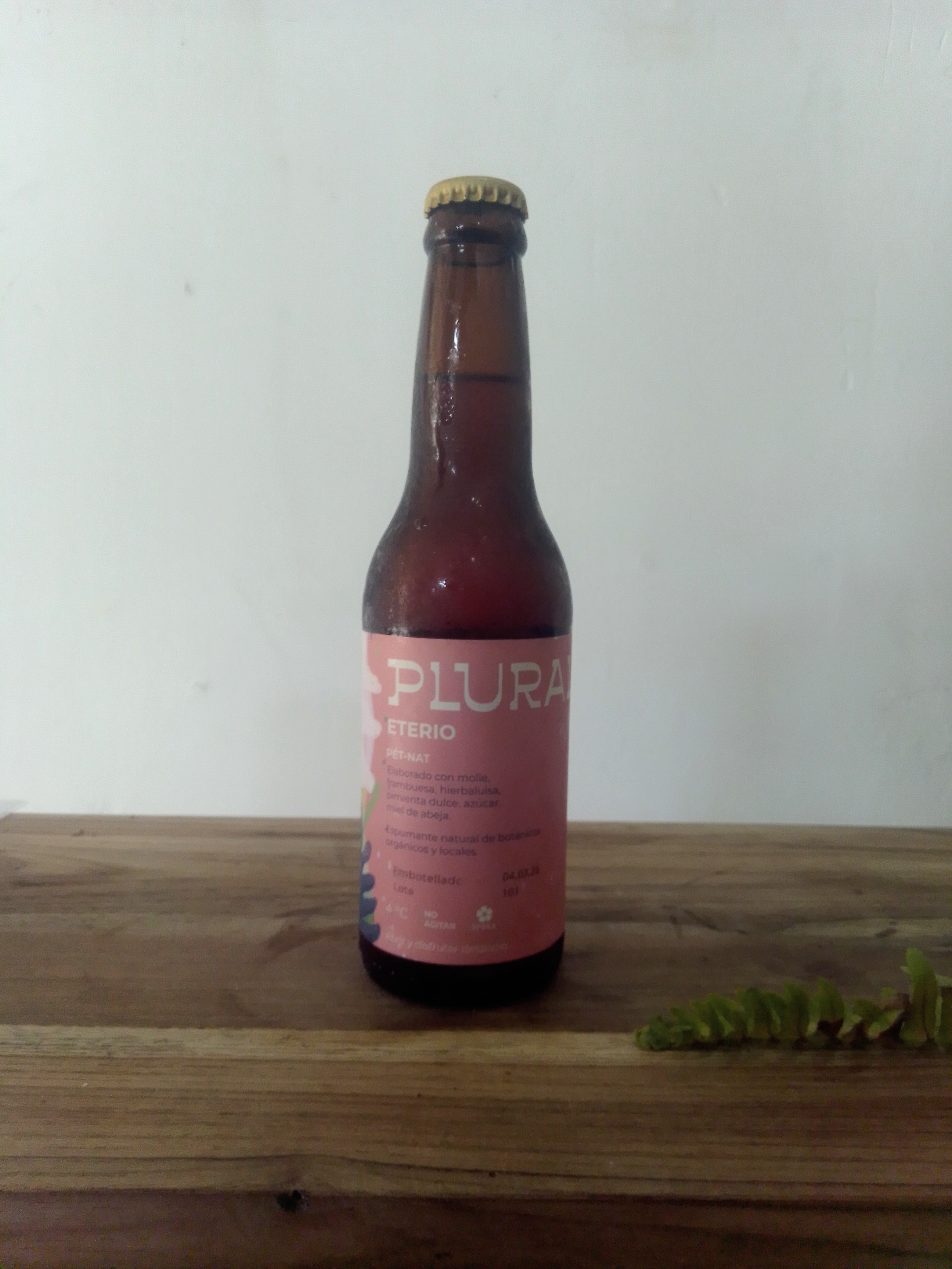 Kombucha Plural pequeña - image 3