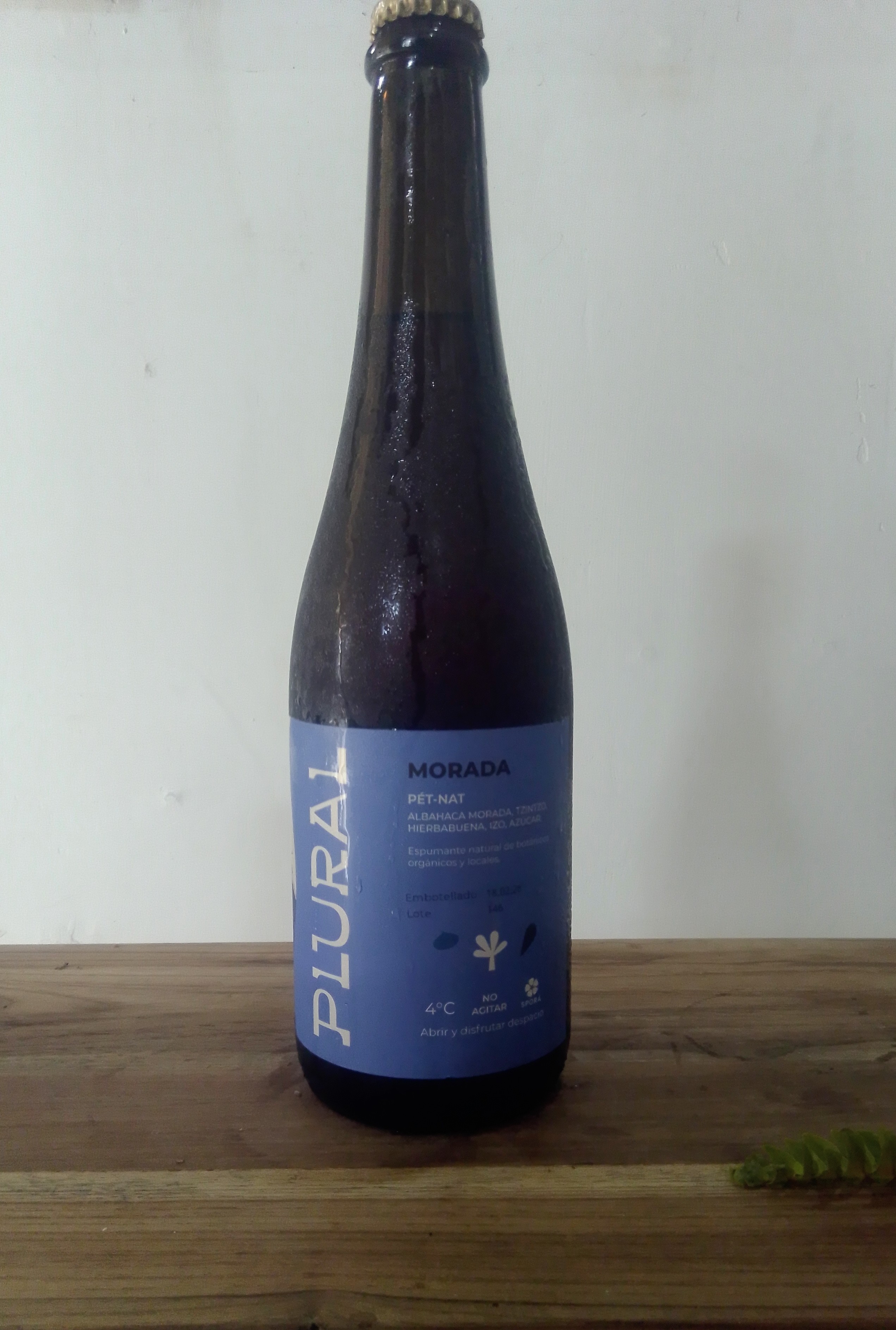 Kombucha grande Plural