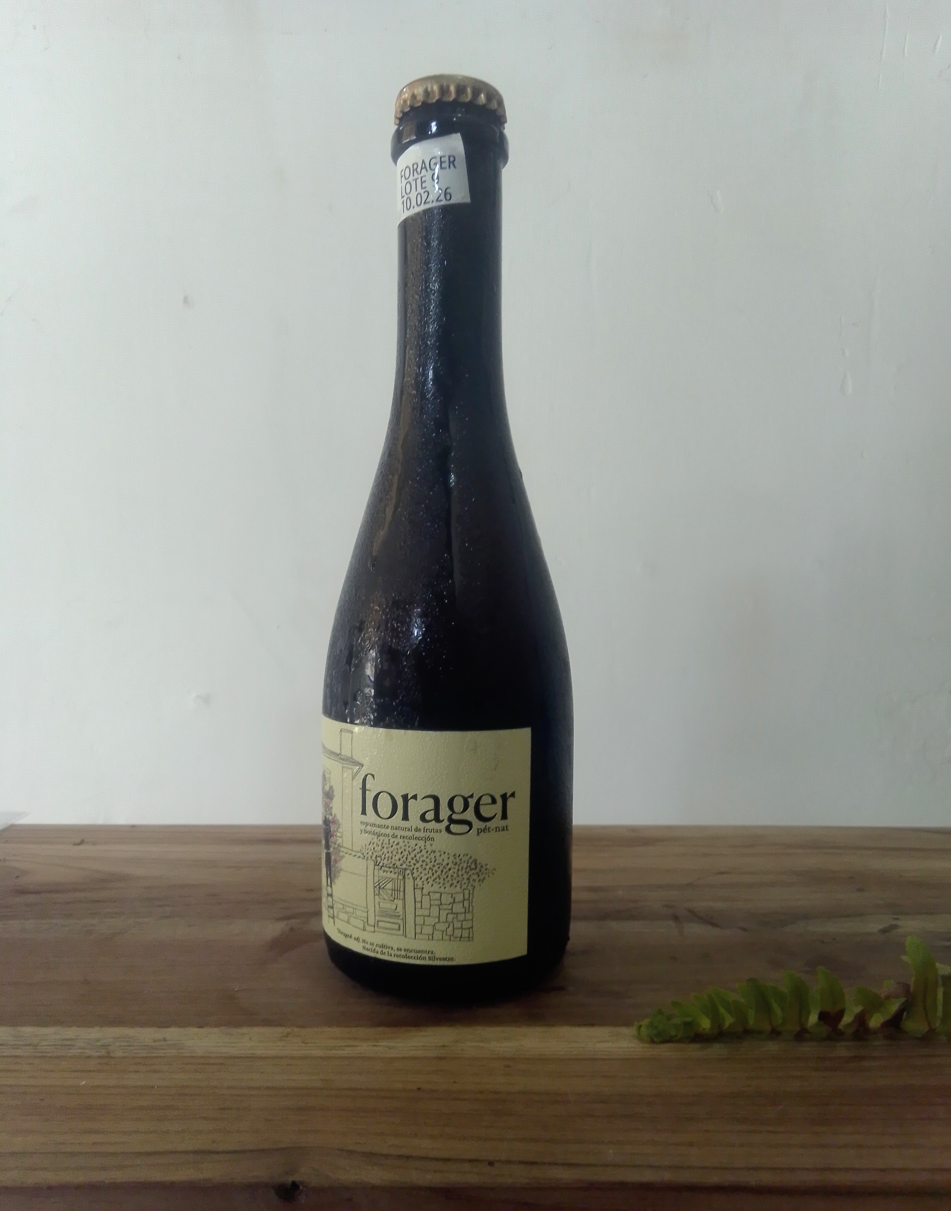 Kombucha Forager pequeña