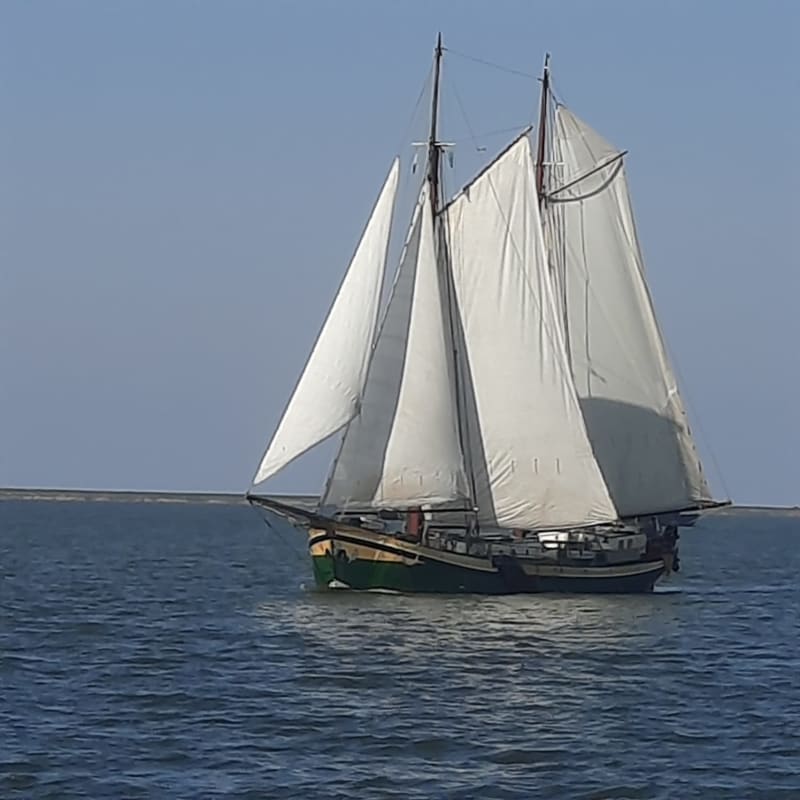 Kaat Mossel