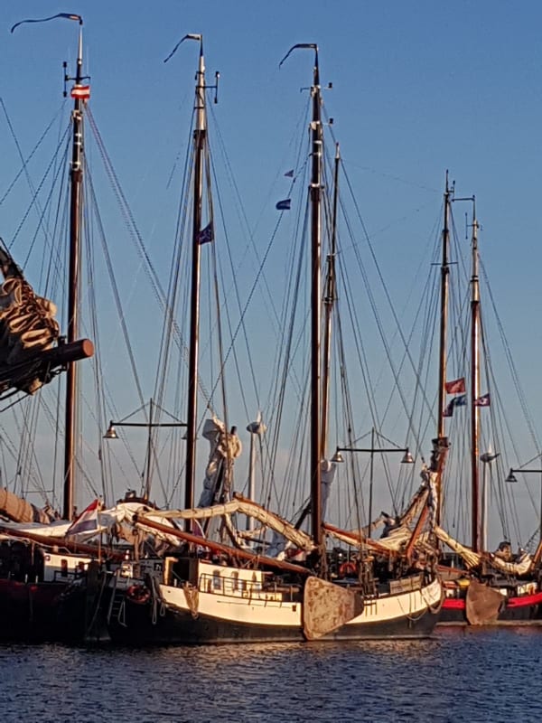 De Vrouw Dina foto 3