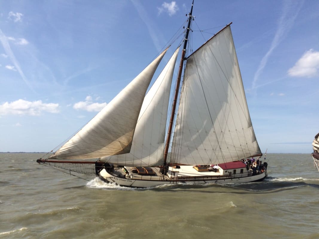 De Vrouw Dina foto 4