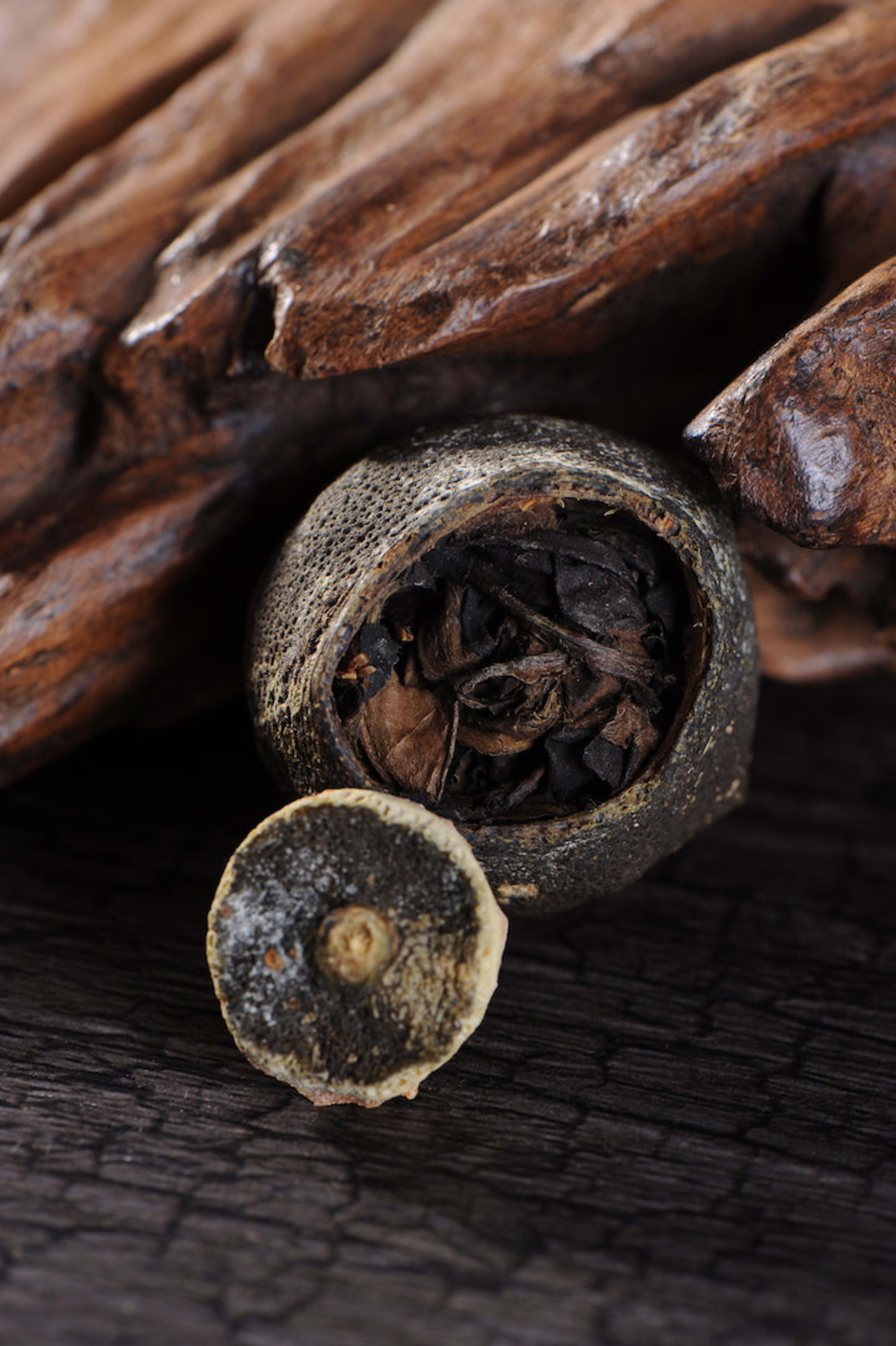 Fuding Shou Mei White Tea in King Orange