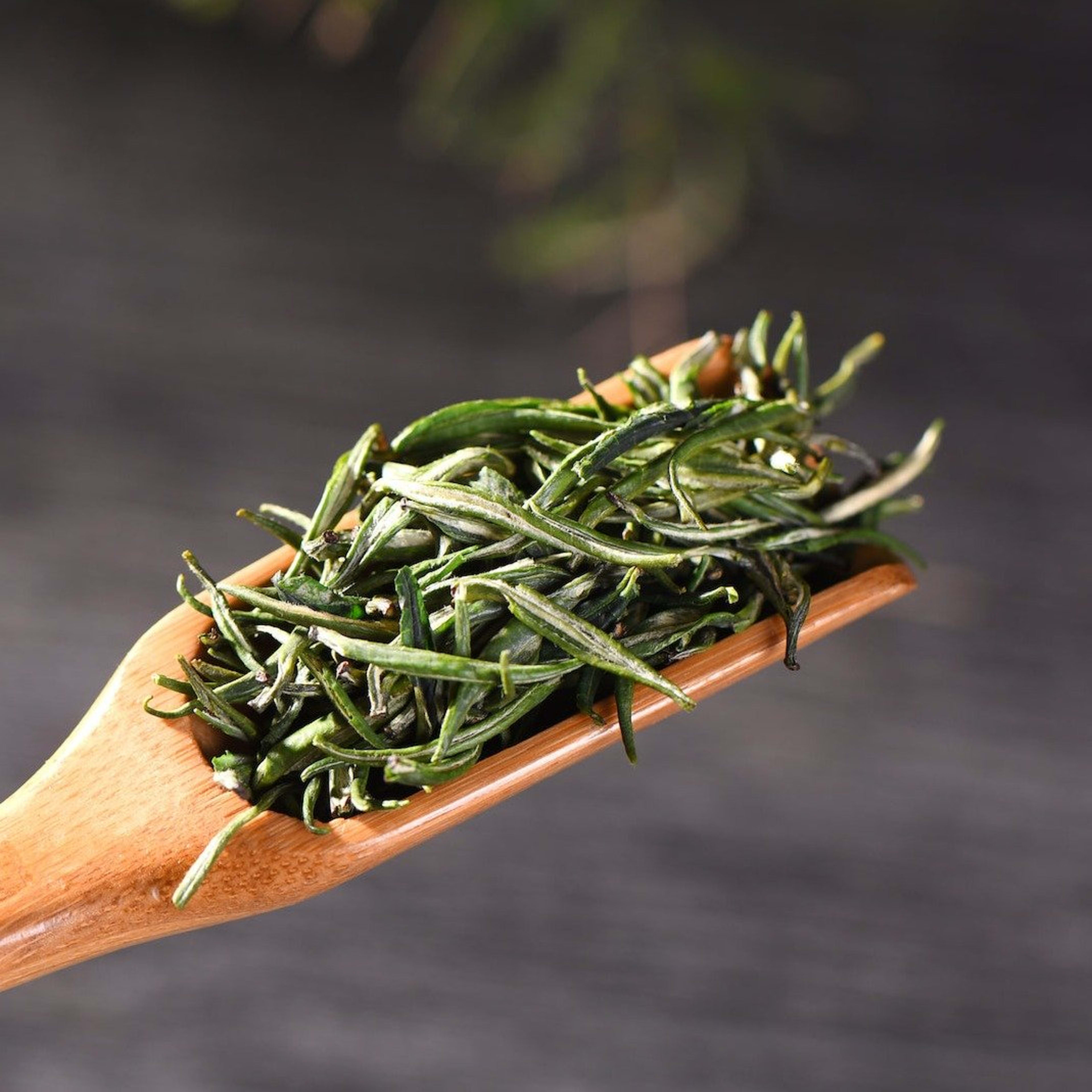 Yunnan "Zhu Ye Qing" Green Tea