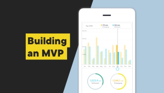 MVP development - everything you want to know, but are afraid to ask