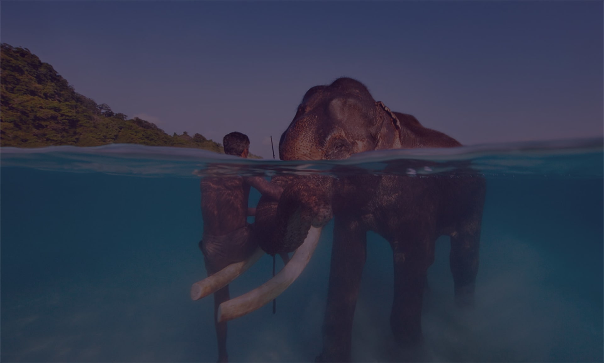 Exotic travel