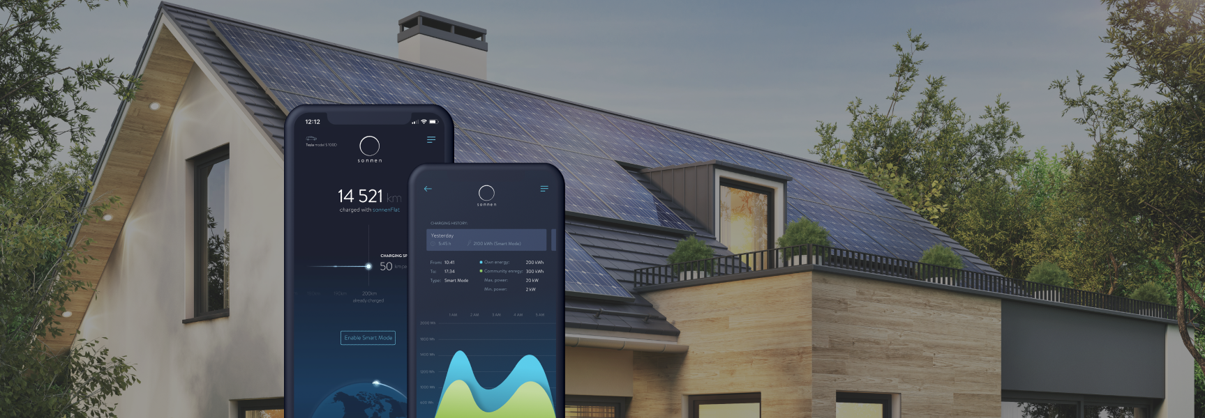 Illustration representing digital transformation for sonnen, a German renewable energy service provider.