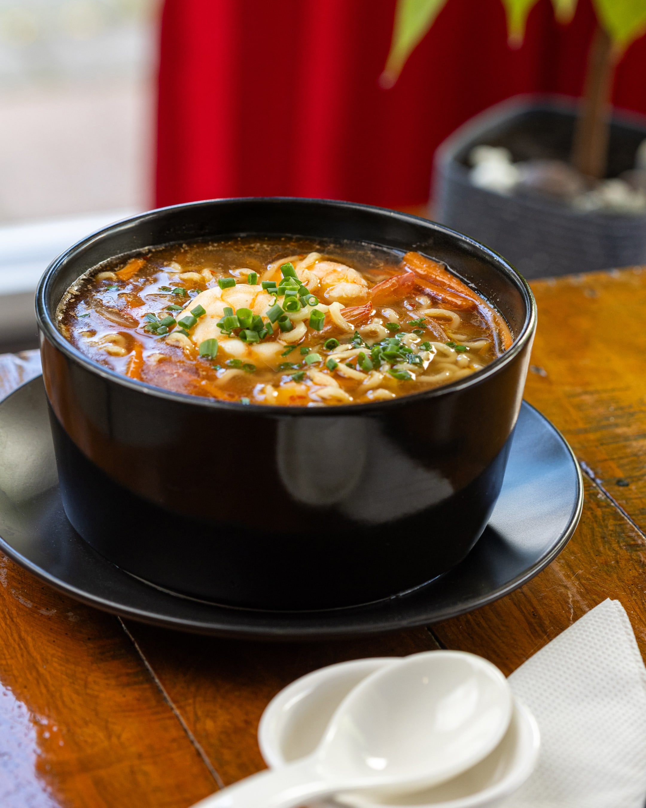 Sopa