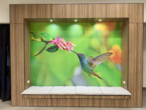 Salón Manglar - Miniatura 2