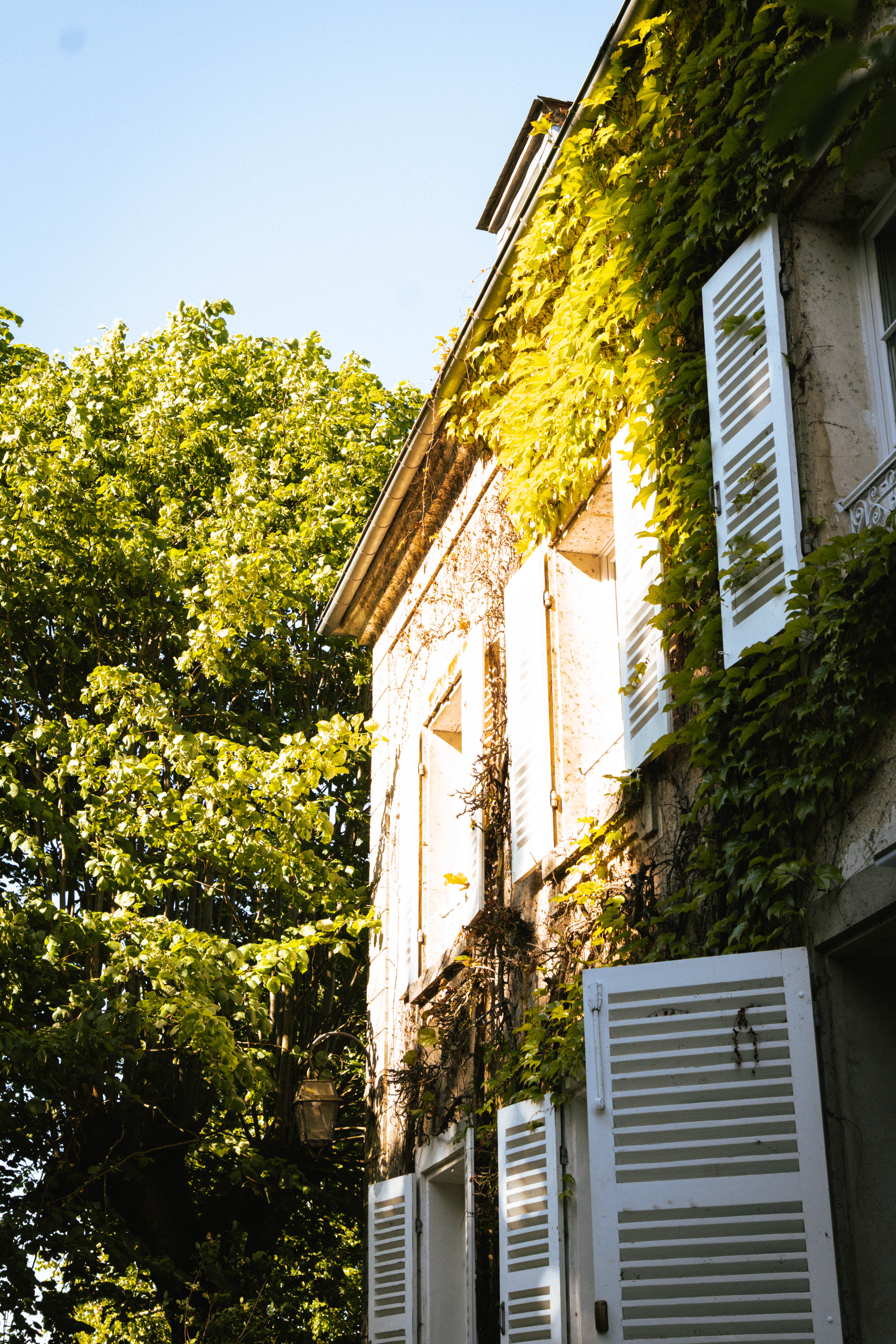 Le Domaine by A&G — Vendrest (Maison + Pavillon) à Vendrest — environnement naturel