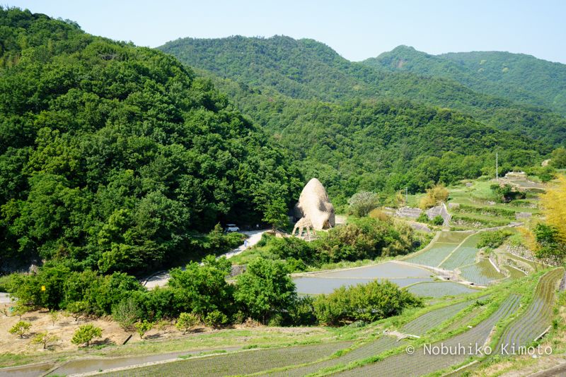 小豆島の恋