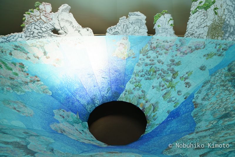 花寿波島の秘密