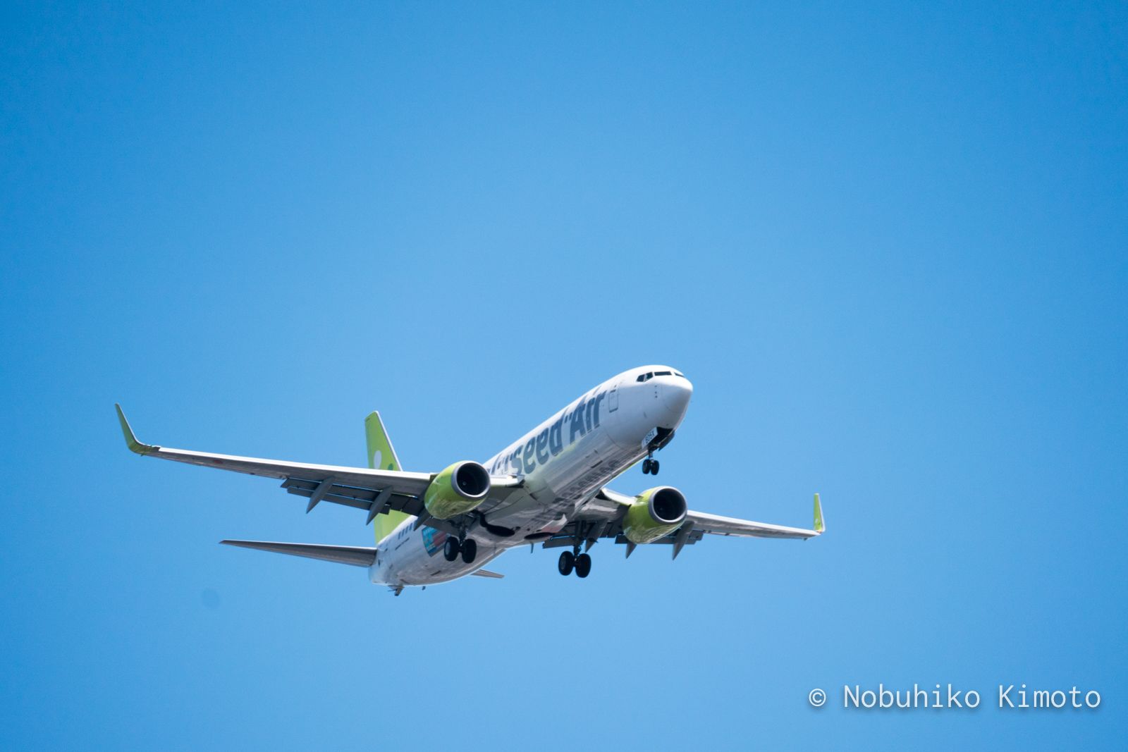 飛行機