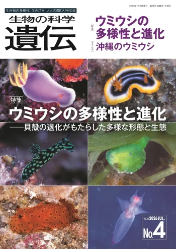 生物の科学 遺伝 Vol.80 No.4「ウミウシの多様性と進化」(エヌ・ティー・エス) - Amazon商品ページ