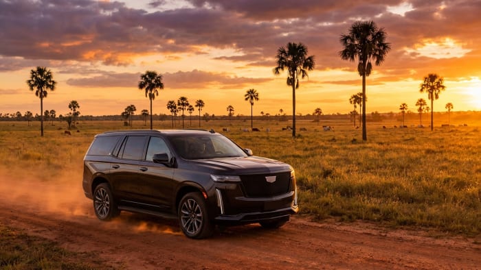 Las mejores camionetas 4x4 y SUV de alta gama para los Llanos Orientales