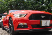 FORD MUSTANG GT 5.0 V8 2017 - foto 8