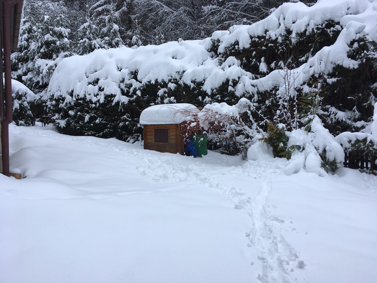 Vymetení garáže, nová okna i nátěr