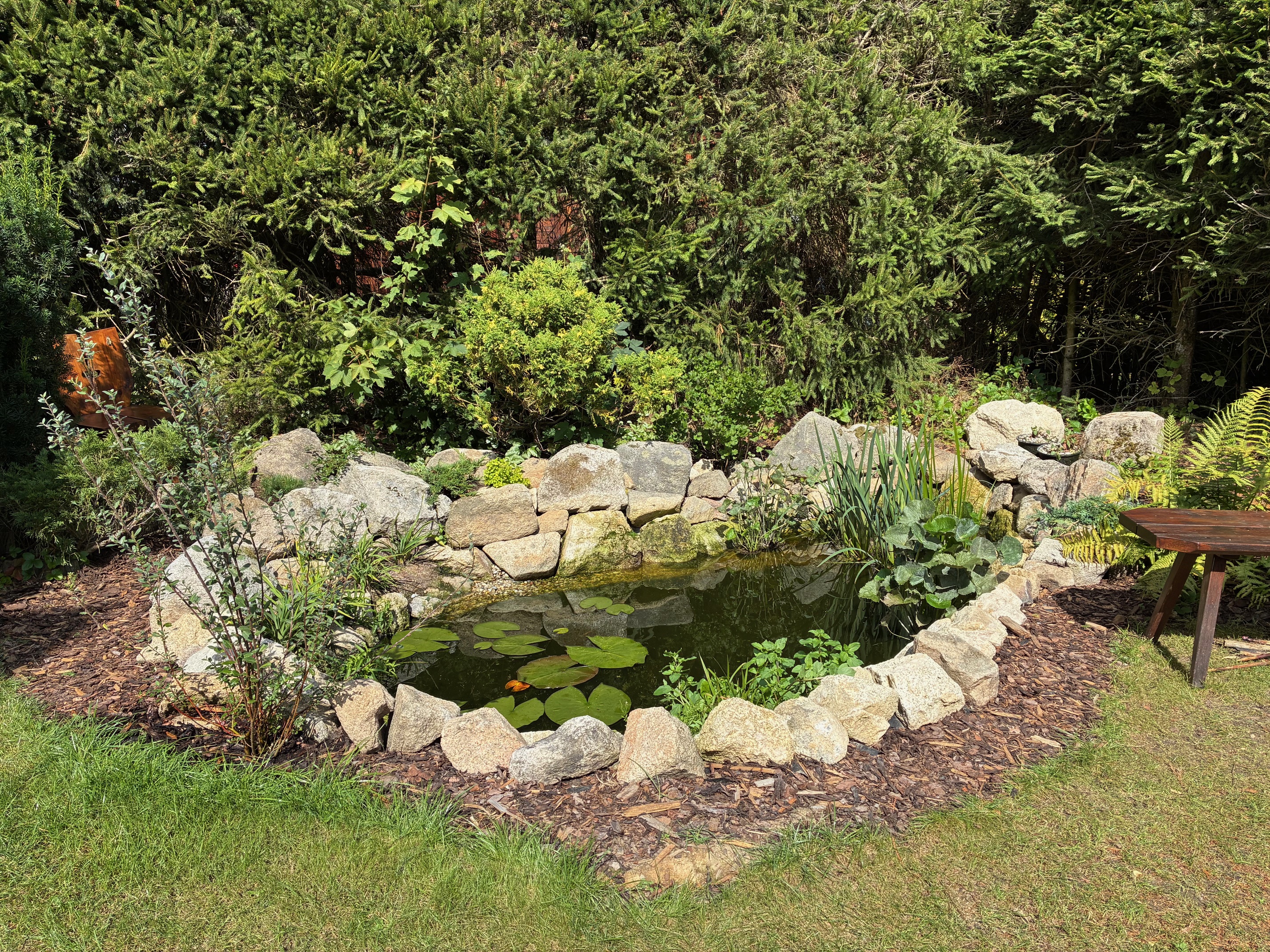 Obnovení zahrady, nově s jezírkem