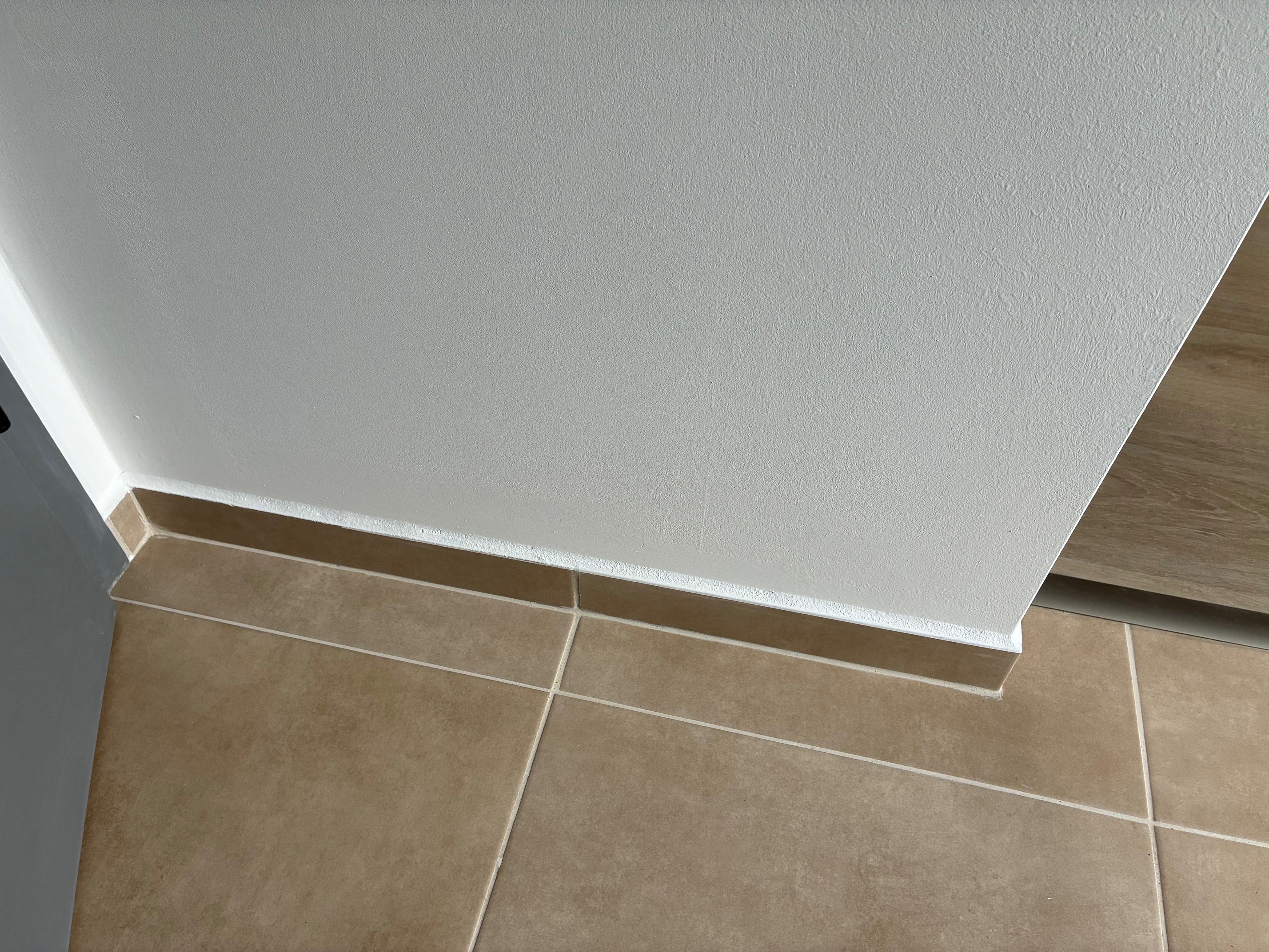 IMG 0866