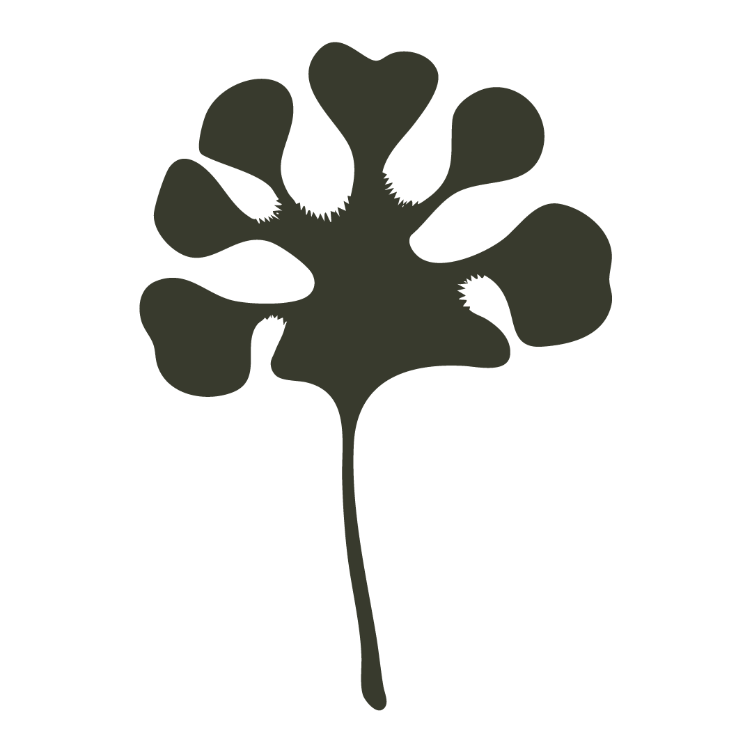 Belung Branding Icon
