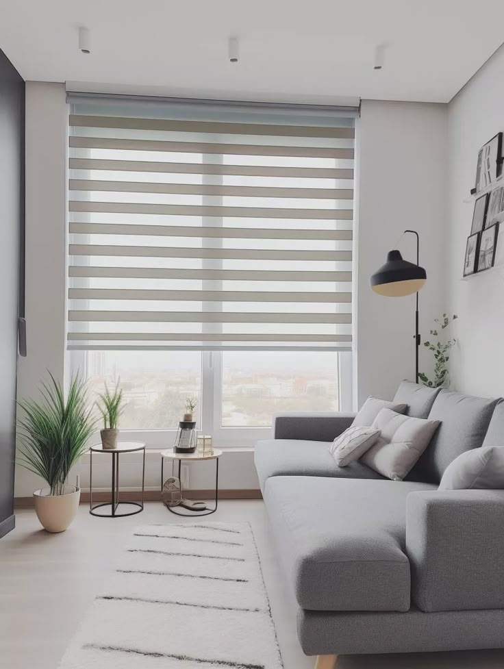 Custom Zebra Blinds