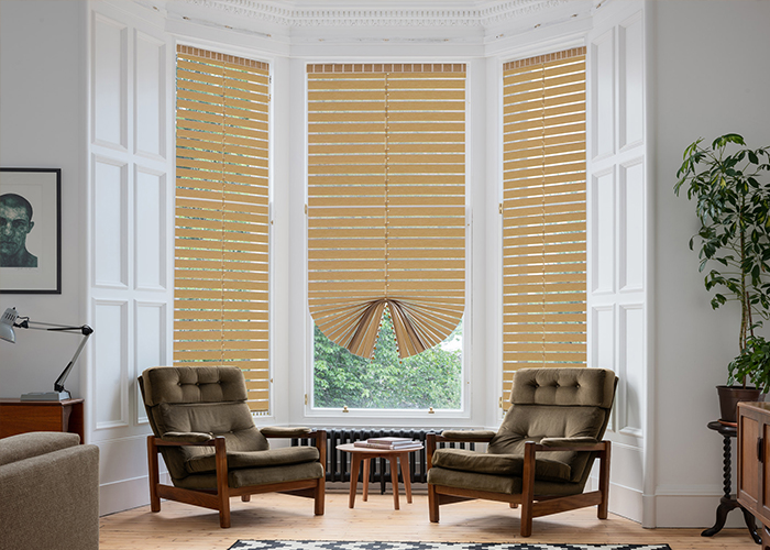 Modern Patricia Blinds