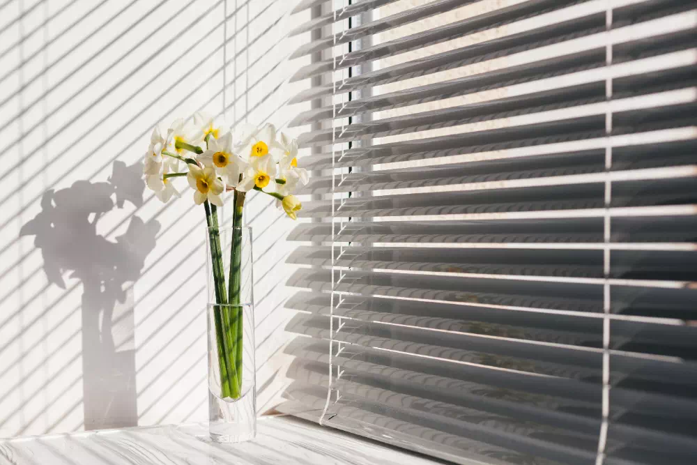 cream venetian blind
