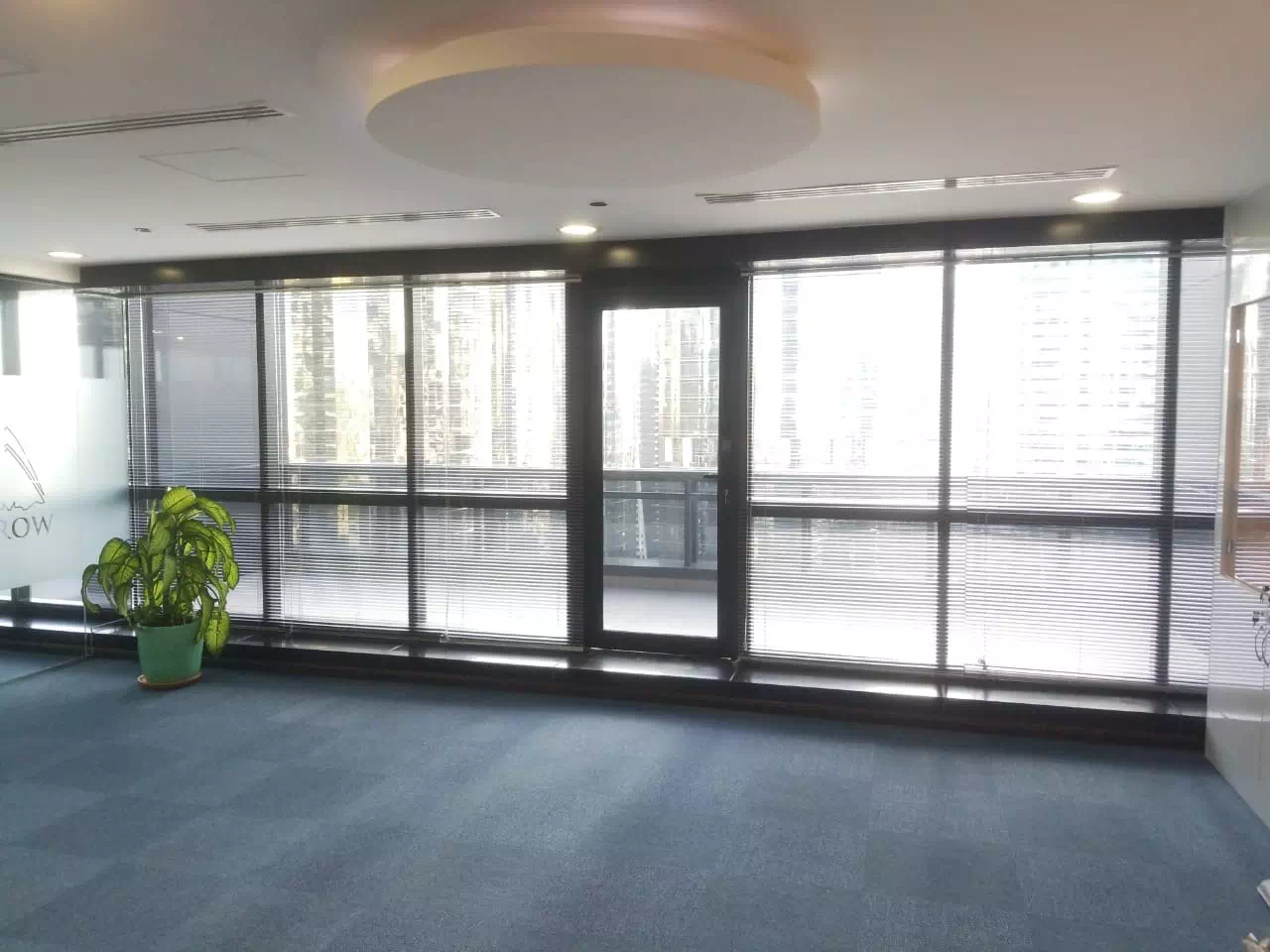 office door blinds