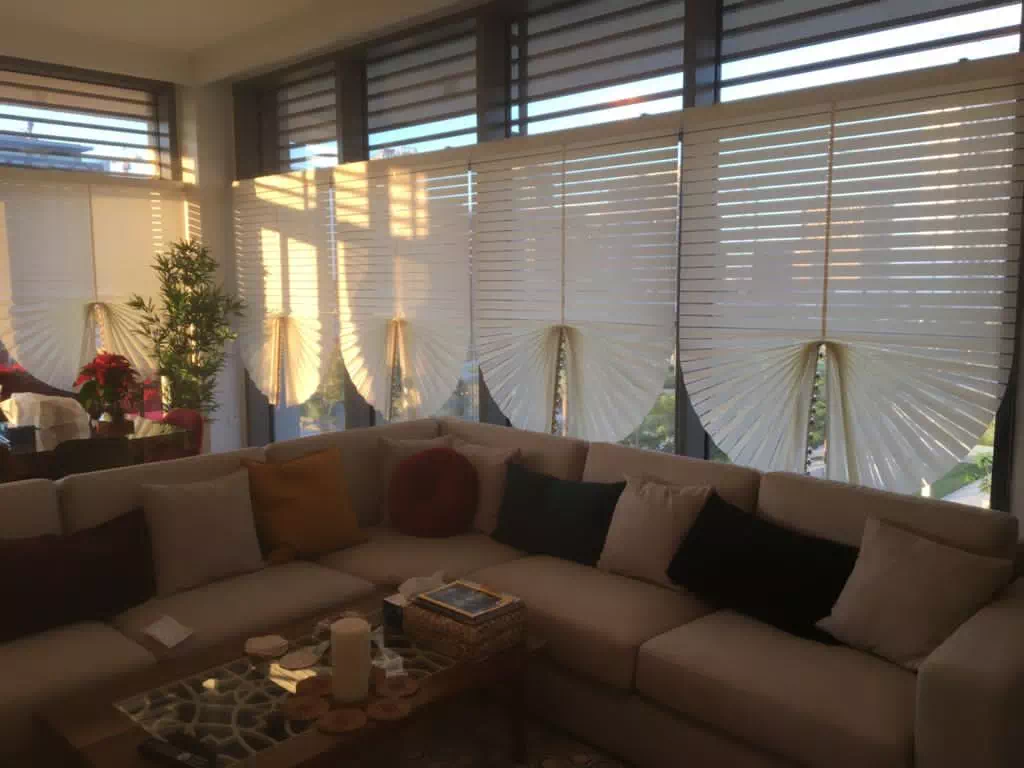 Patricia Window Blinds