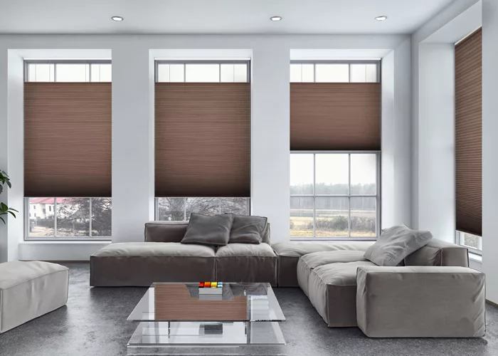 Pleated Roller Blinds