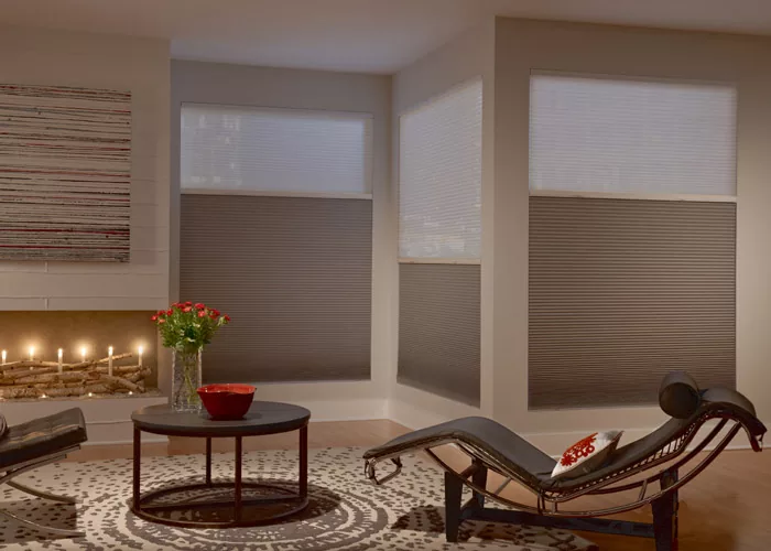 Pleated Window Shades