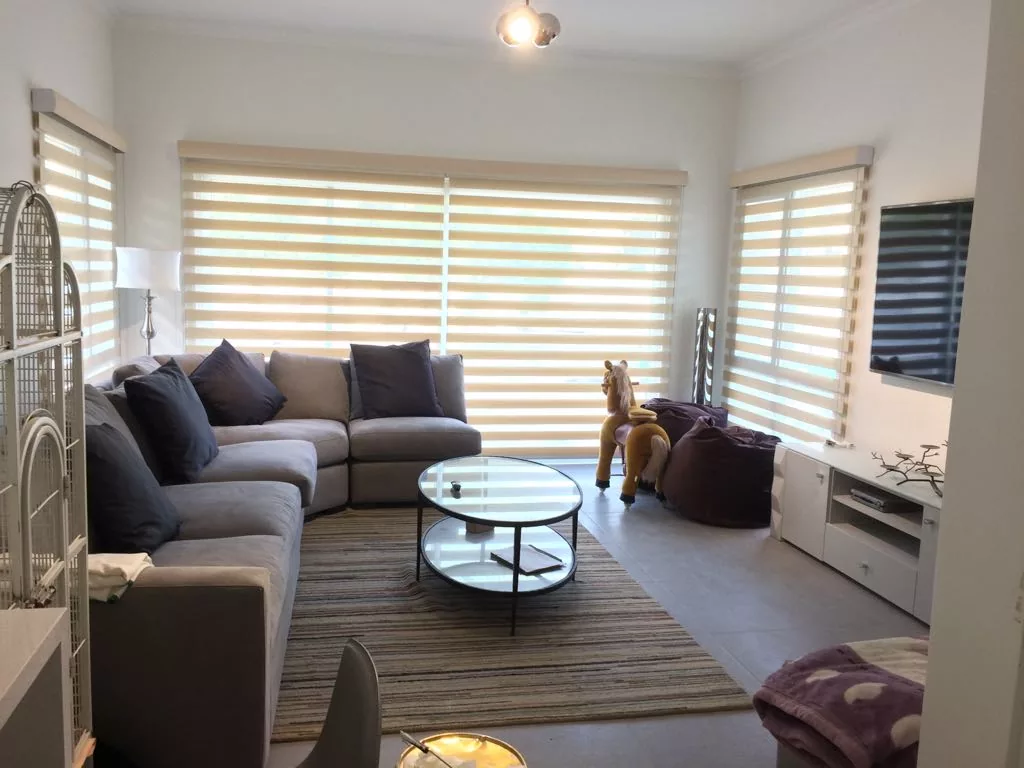Zebra Shade Blinds