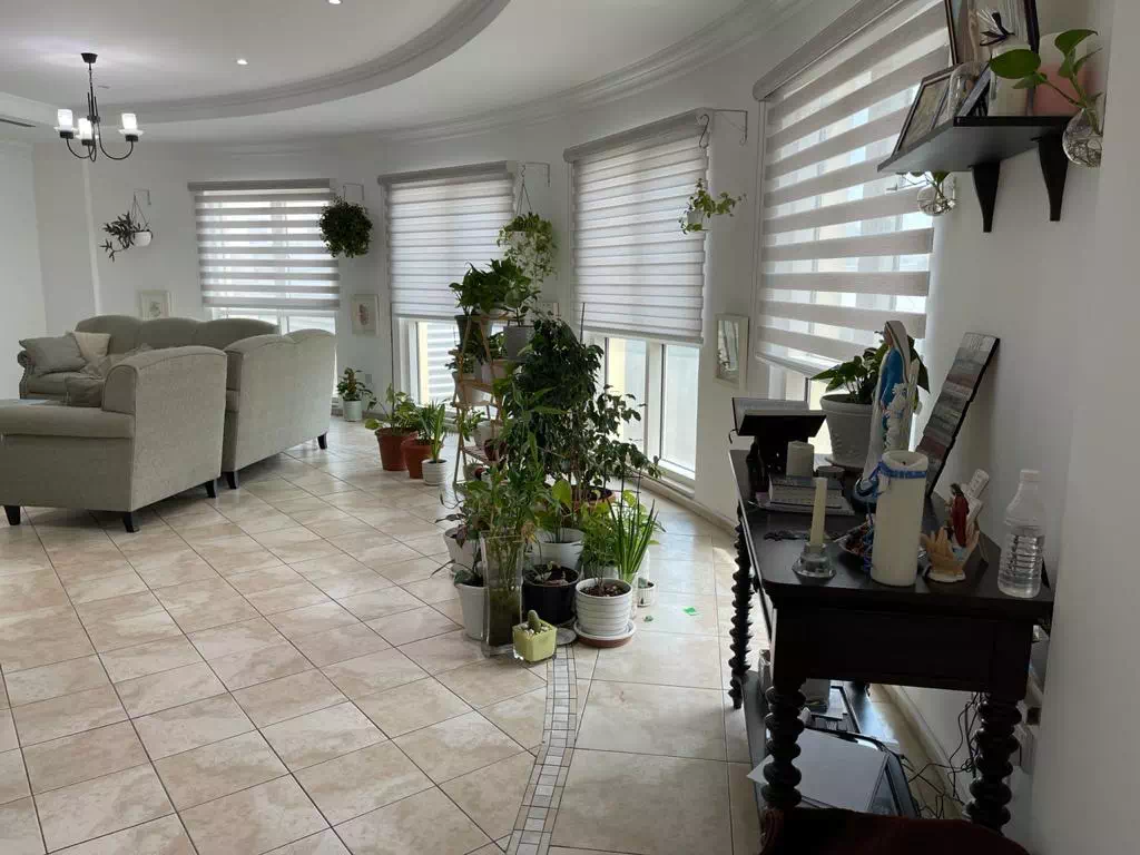 Motorized Zebra Blinds