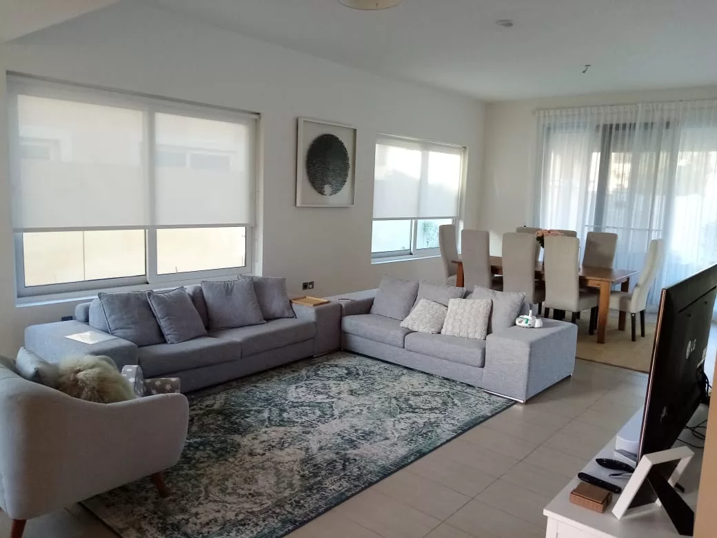 Translucent Blinds for Windows