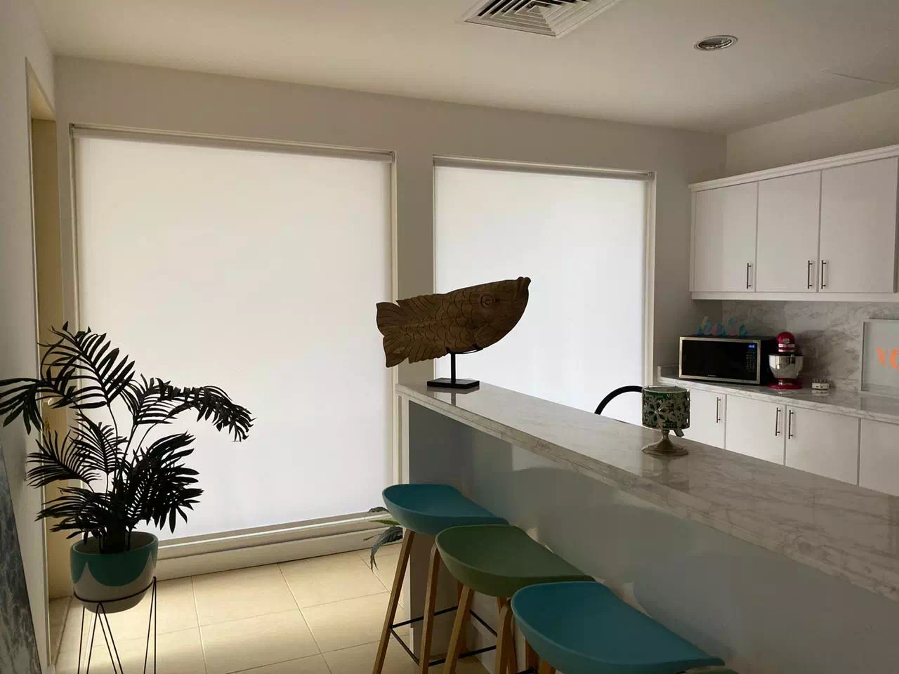 Transparent Roller Blinds