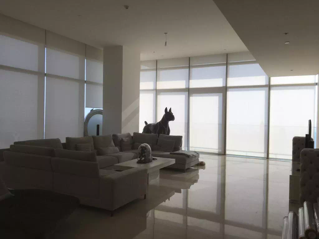 Privacy Roller Blinds