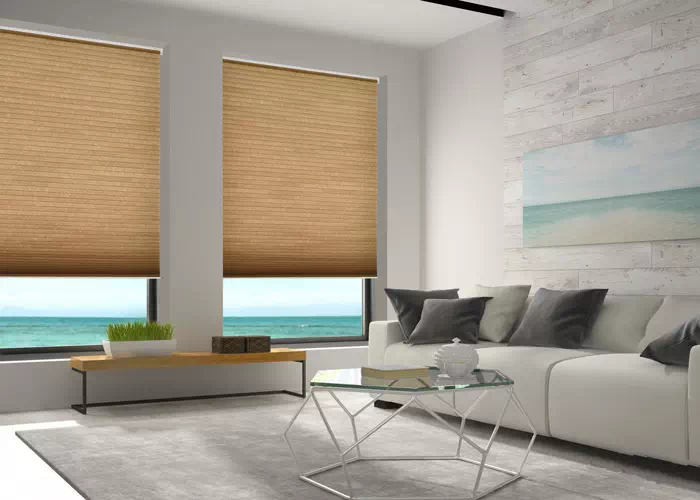 Blackout Pleated Blinds