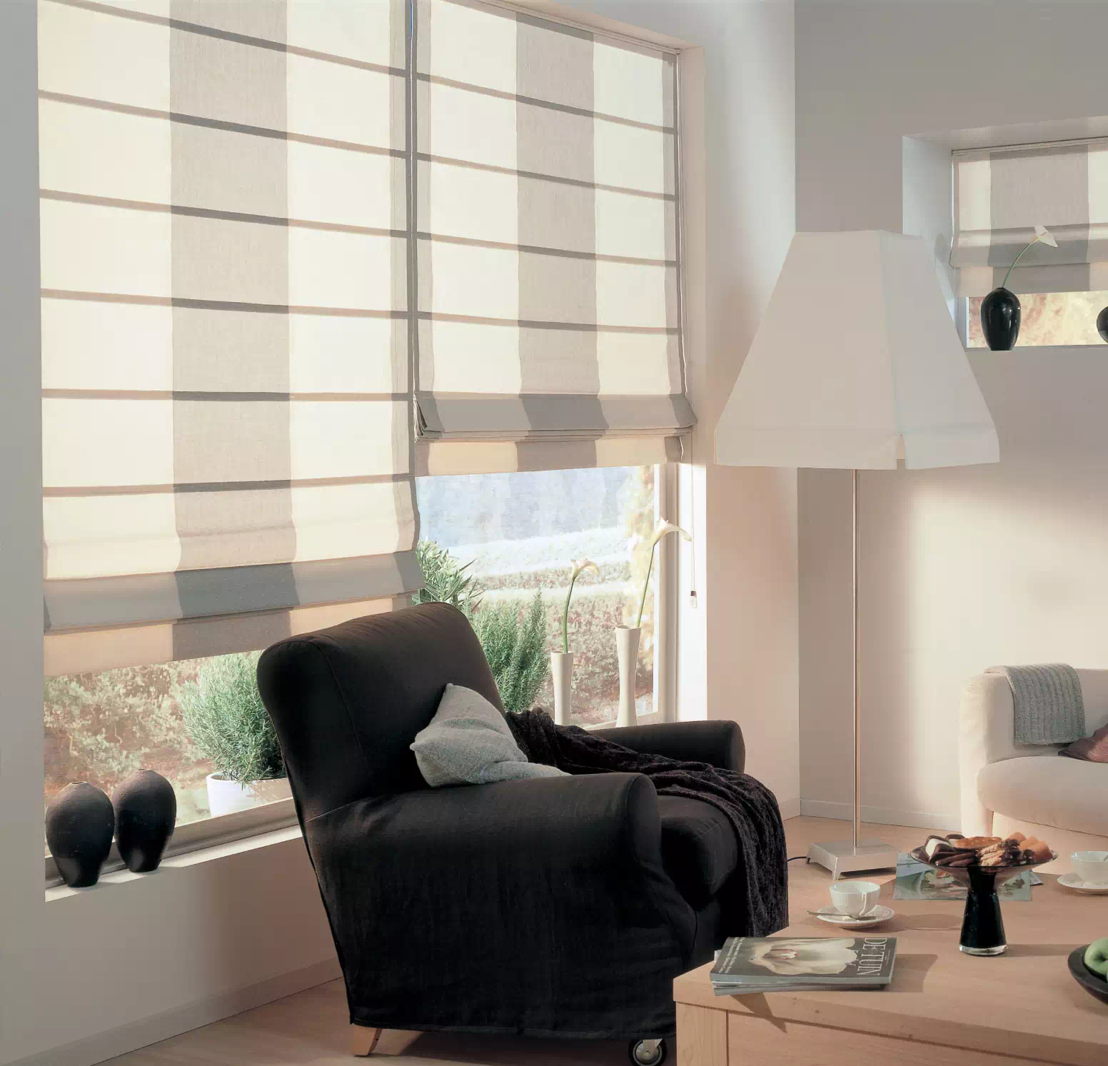 roman sheer blinds