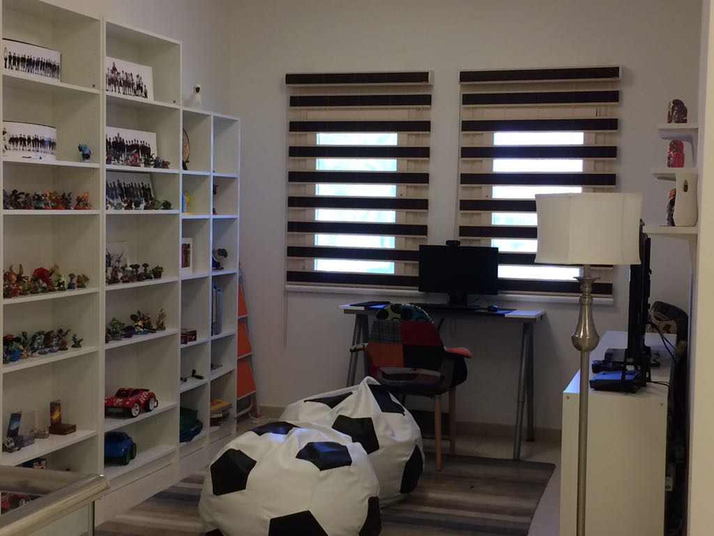 duplex window blinds