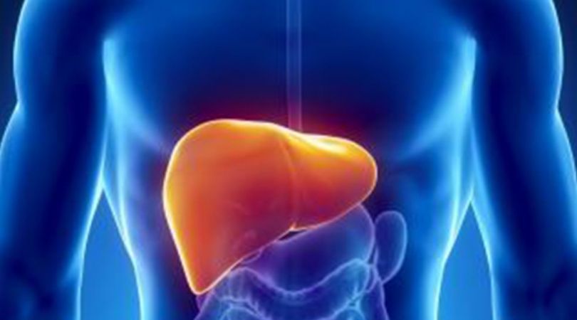 THE DEFINITIVE GUIDE FOR THE TREATMENT OF LIVER CIRRHOSIS