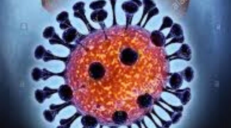 THE DEFINITIVE GUIDE FOR THE TREATMENT OF CORONAVIRUS