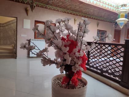 Riad Ayachi – Chambre Prestige avec Balcon 8